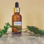 L'atelier Des Reves * Lévigny